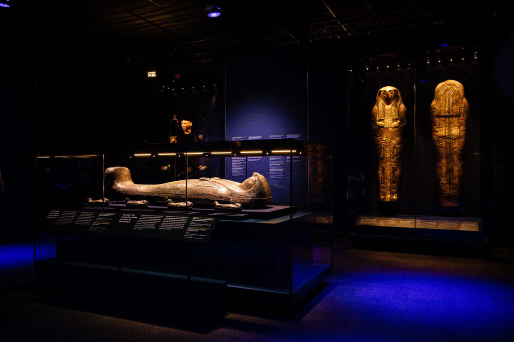 ramses-the-great-and-the-gold-of-the-pharaohs-photo-9