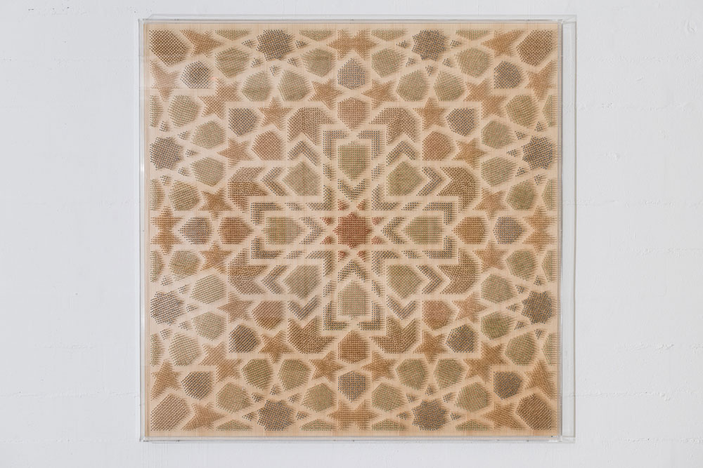 MOATAZ-NASR-IMG-2013-01da
